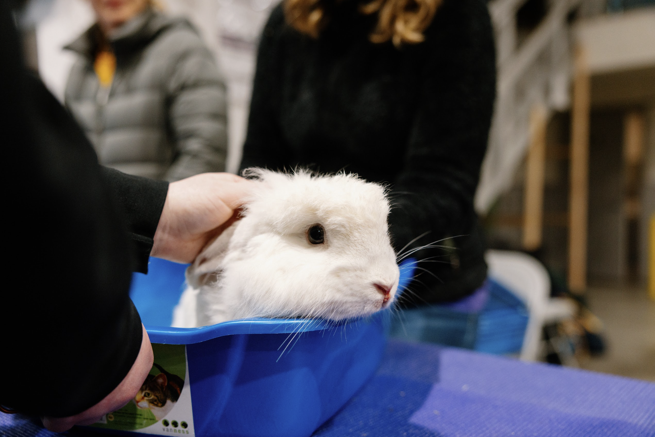 SAVE THE DATE! 2026 RHDV2 Oregon Vaccine Event