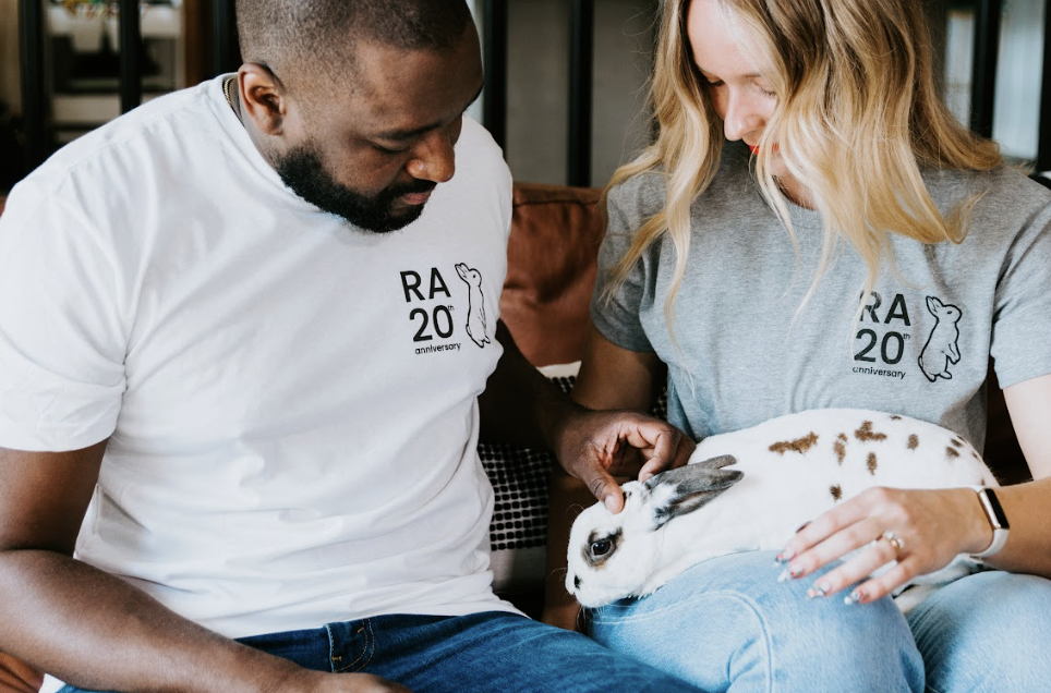 Be Aware of Bunny Diseases