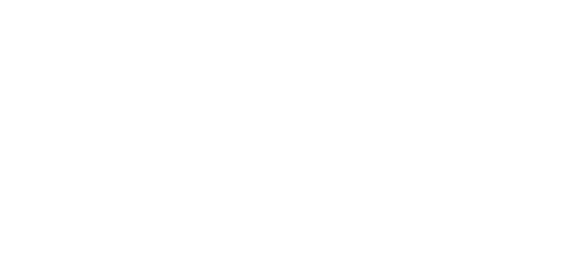 Cecily Carlyle │ Brand + Web Designer