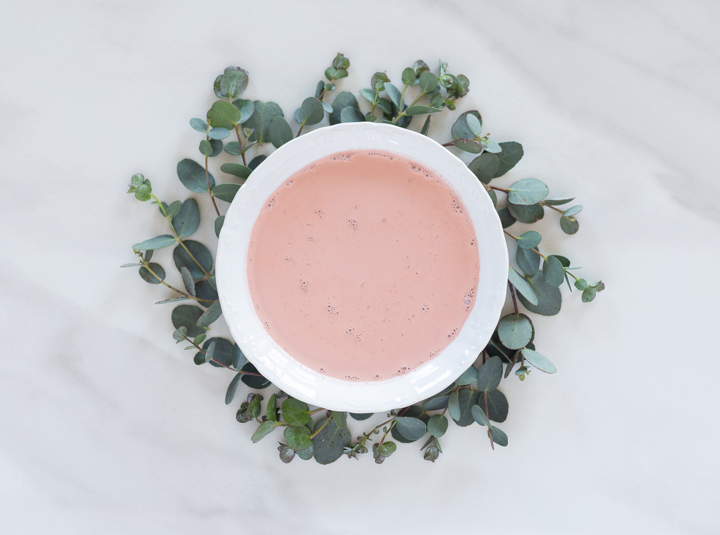 Arabesque by Miss Mustard Seed’s® Milk Paint in bowl surrounded by eucalyptus branches