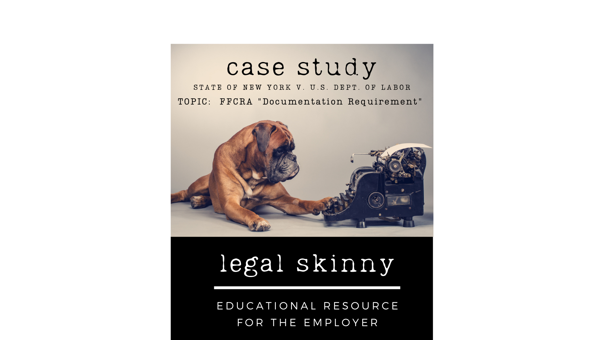 #20 - Case Study - NY v. DOL P.3 (FFCRA Documentation)