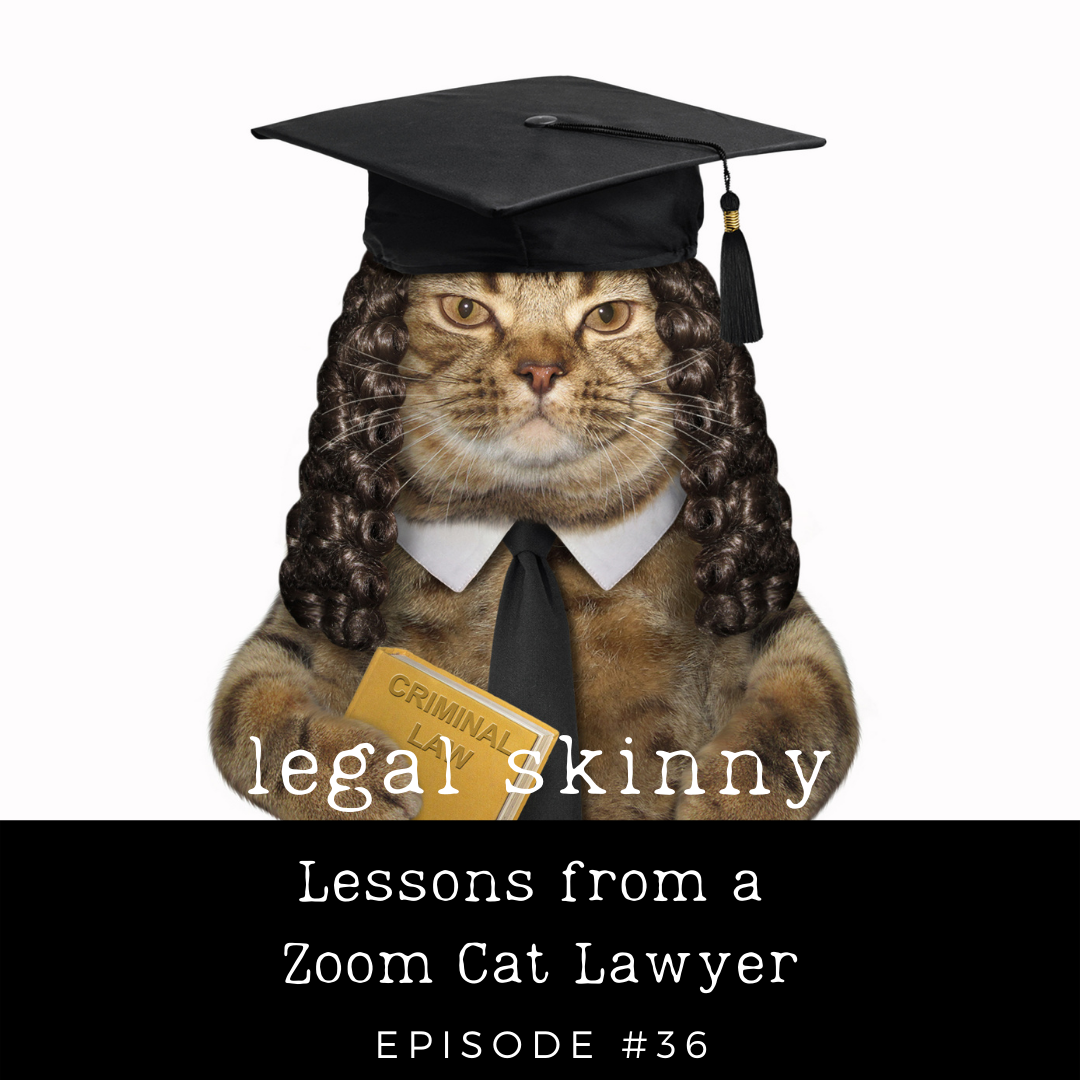 #36 - Lessons from a Zoom Cat Lawyer
