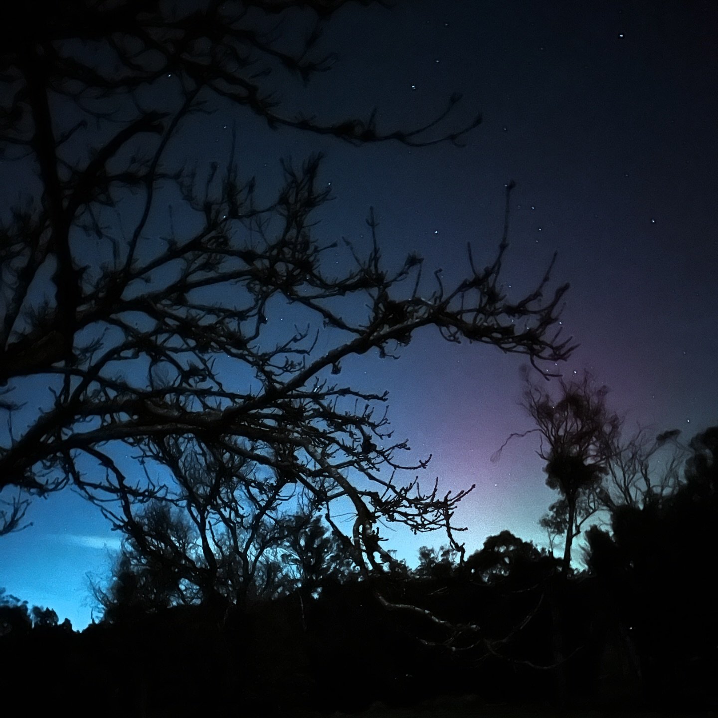 Did you know we had another Aurora Australis this week? We&rsquo;ve certainly been spoilt this year with this gorgeous galactic spectacle. But what wonders are happening in the Tasmanian vineyards with all this magnetosphere activity!?! Vintage 2025 