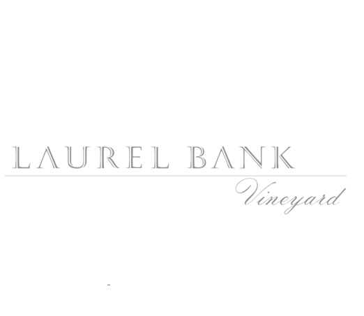 LaurelBankSq.png