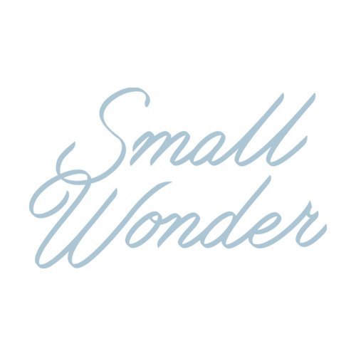 Small+Wonder+-+C7+Logotype+Stacked+9443U+500x500px.jpg