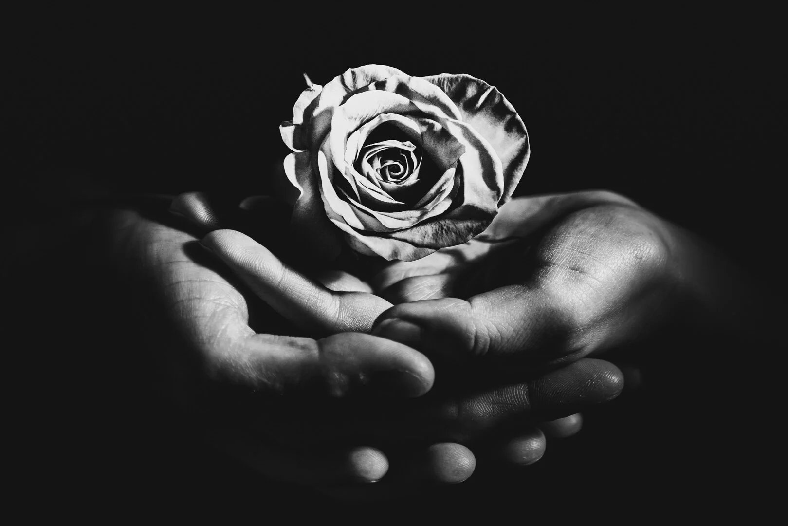 The Day Time Stopped [18 Weeks]