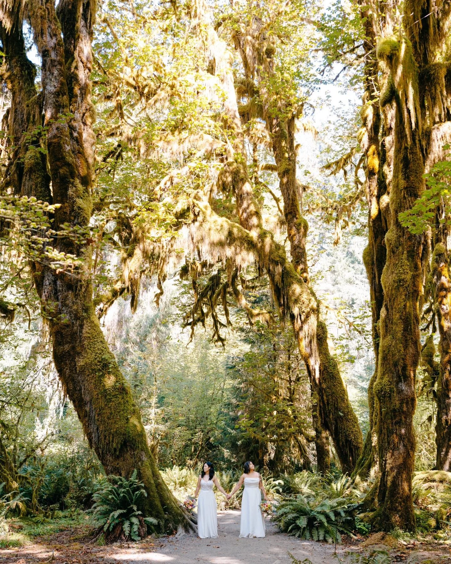 ✨ END-OF-YEAR GIFT ALERT! ✨

From now until New Year&rsquo;s Eve, every couple who books with us will receive a FREE 10x10 heirloom album &mdash; our little way of saying thank you and kicking off your adventure with something extra special.

These a