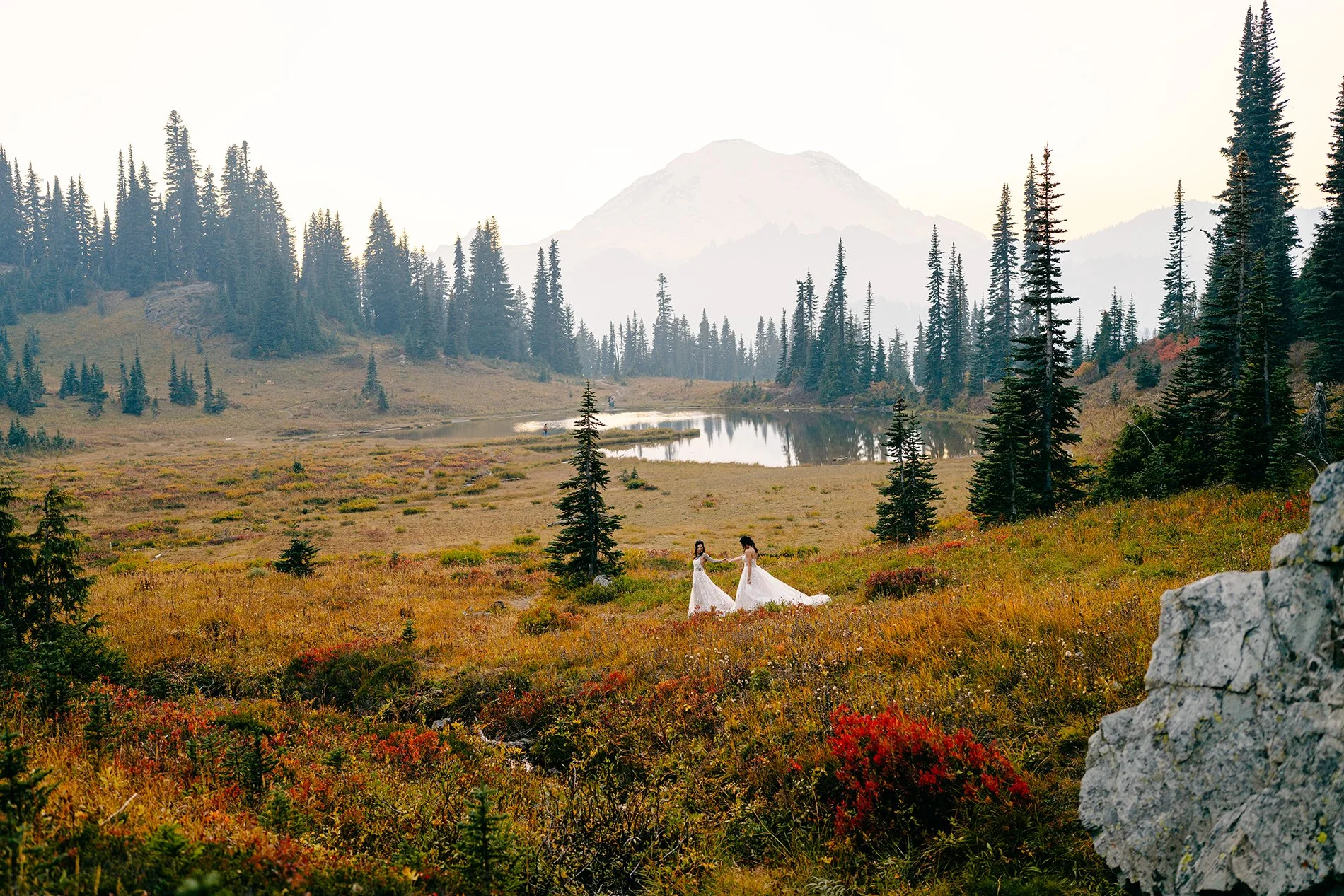 lesbian couple getting married in mount rainier national park - How to Elope in Mount Rainier