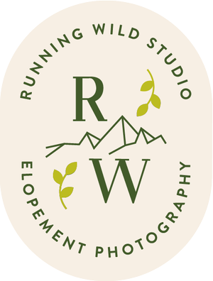 Elope Meaning and Definition | 2025 - Running Wild Studio