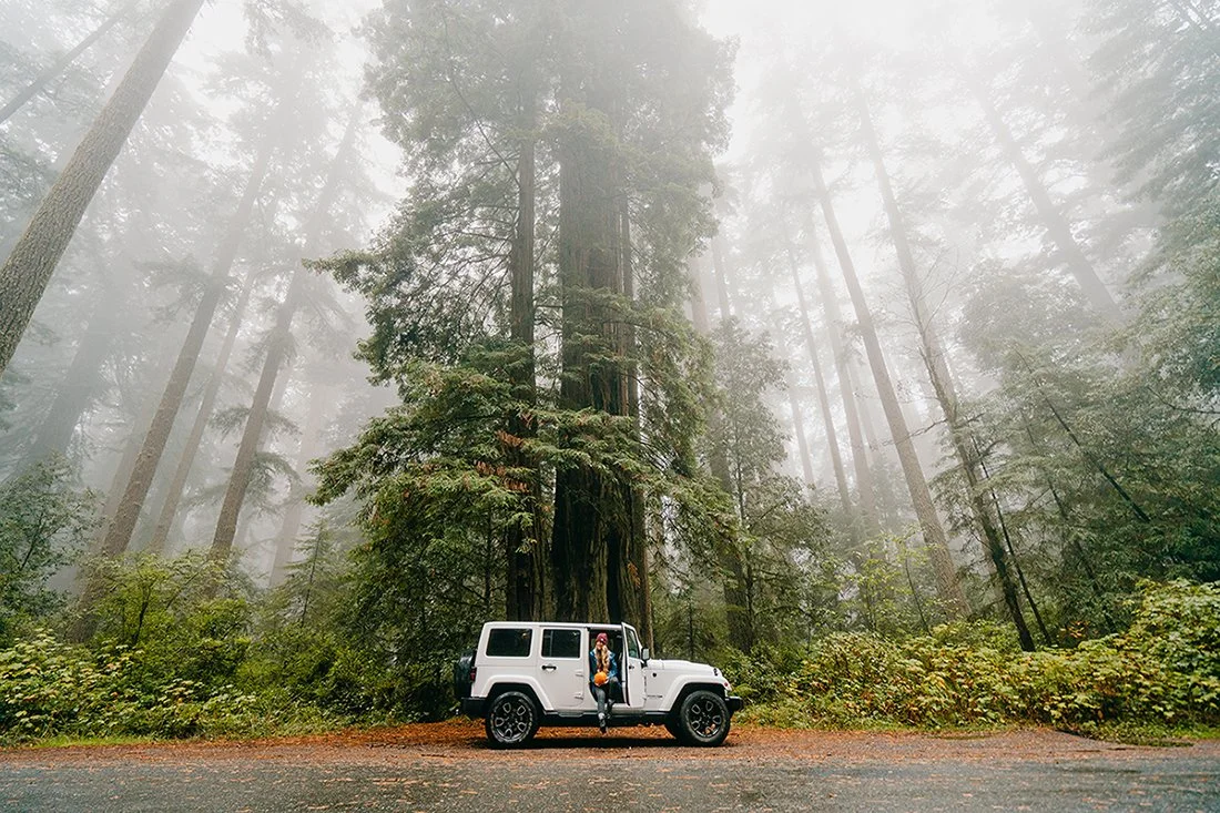 The US has so many diverse landscapes to offer for your adventure wedding. Here are the best places to elope inside the US. Redwood National Park in California is one of our favorite locations for your adventure wedding.