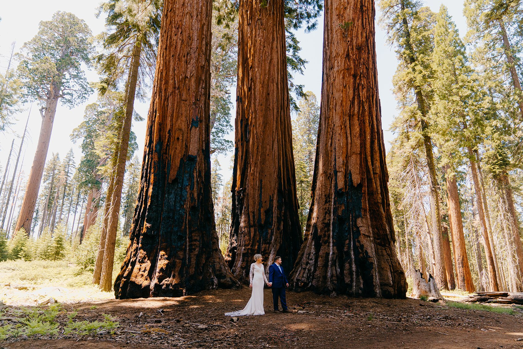 elopement ceremony in sequoia national park