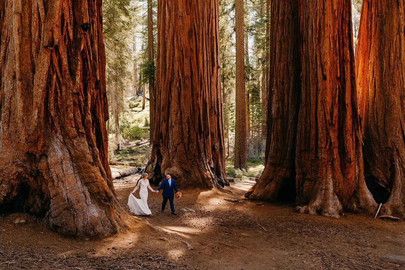 beautiful couple getting married at Parker Group Sequoia National Park