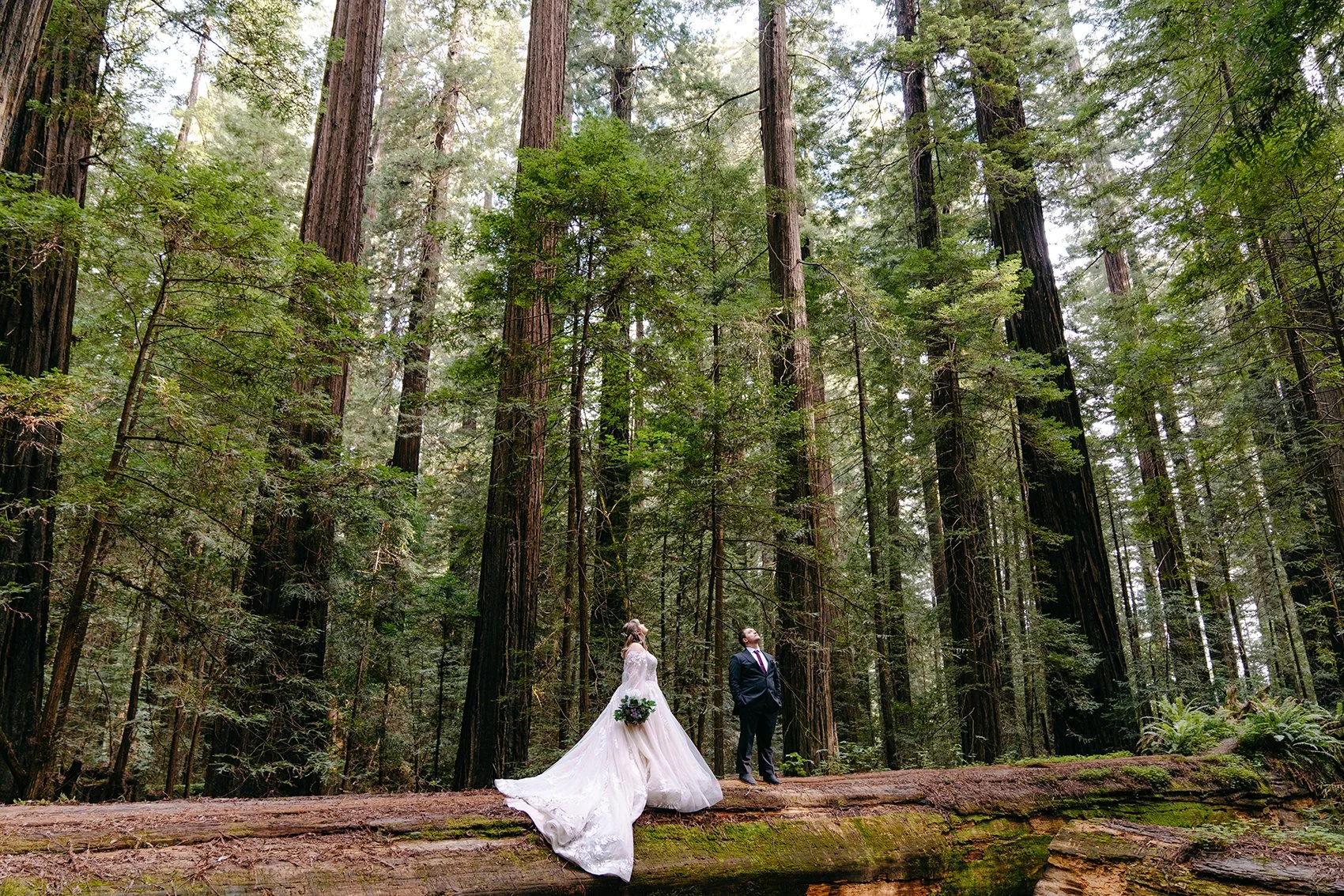 couple standing in wedding attire among the giant redwoods
