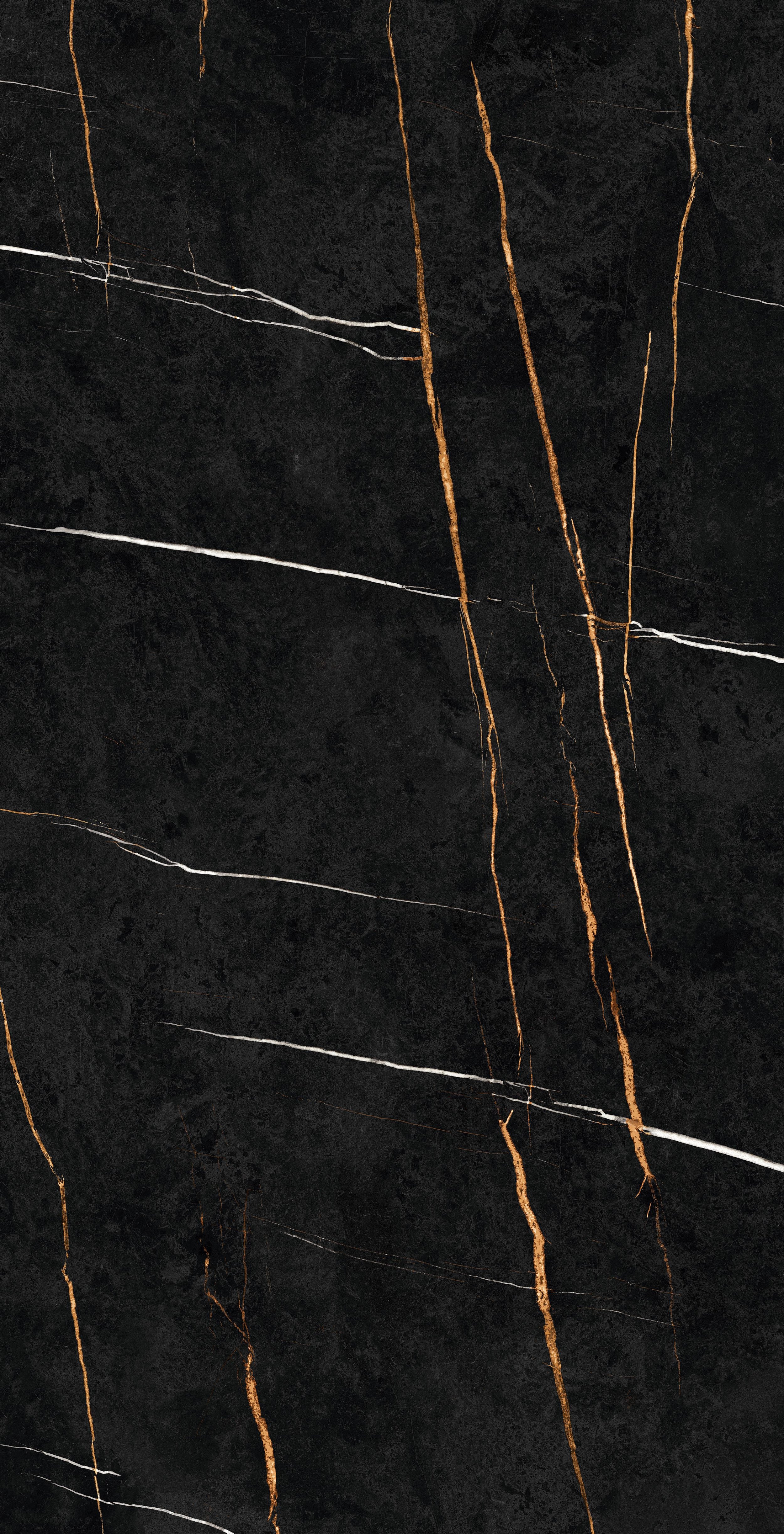 Sahara Noir 23
