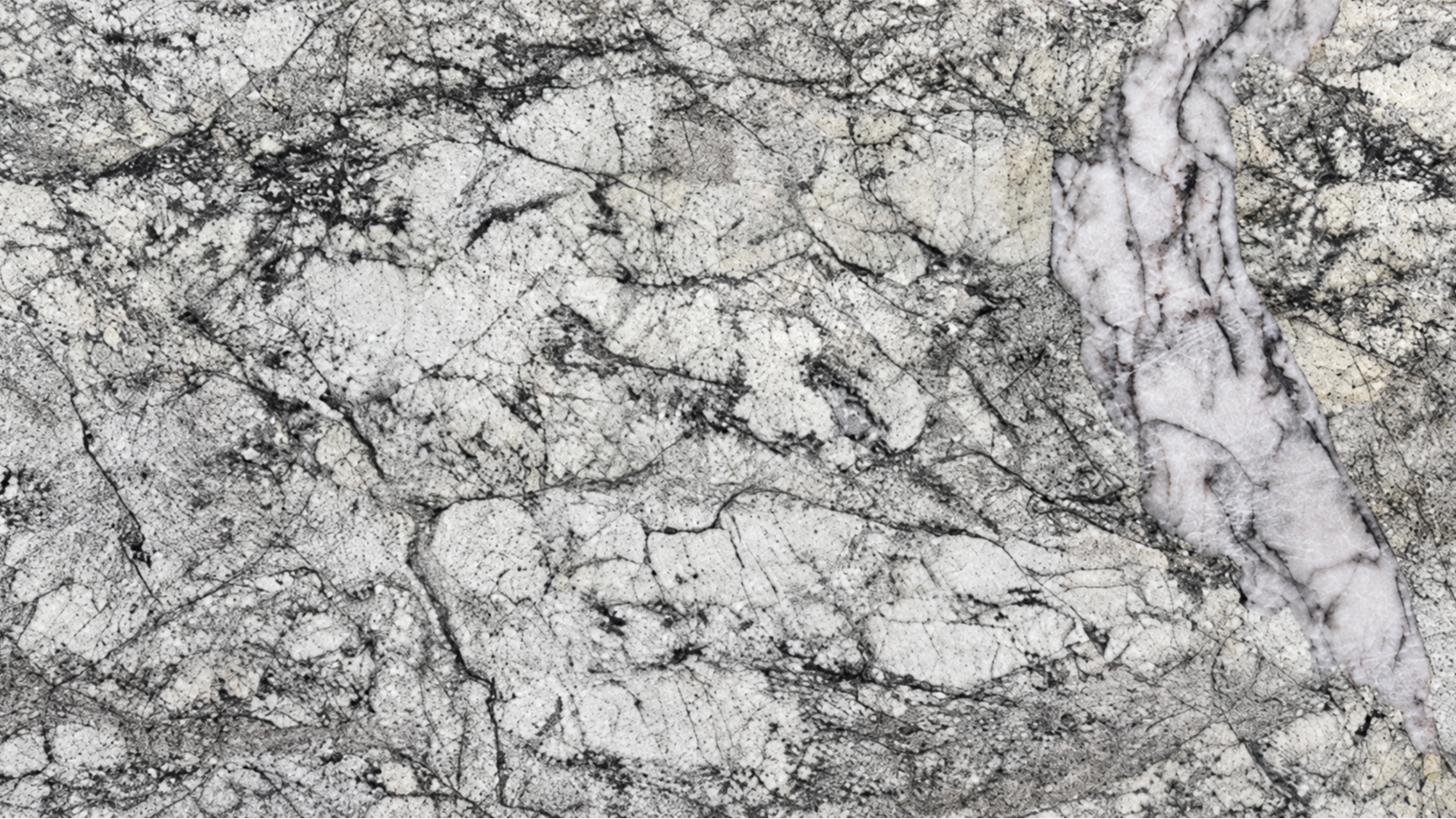 Alphine White