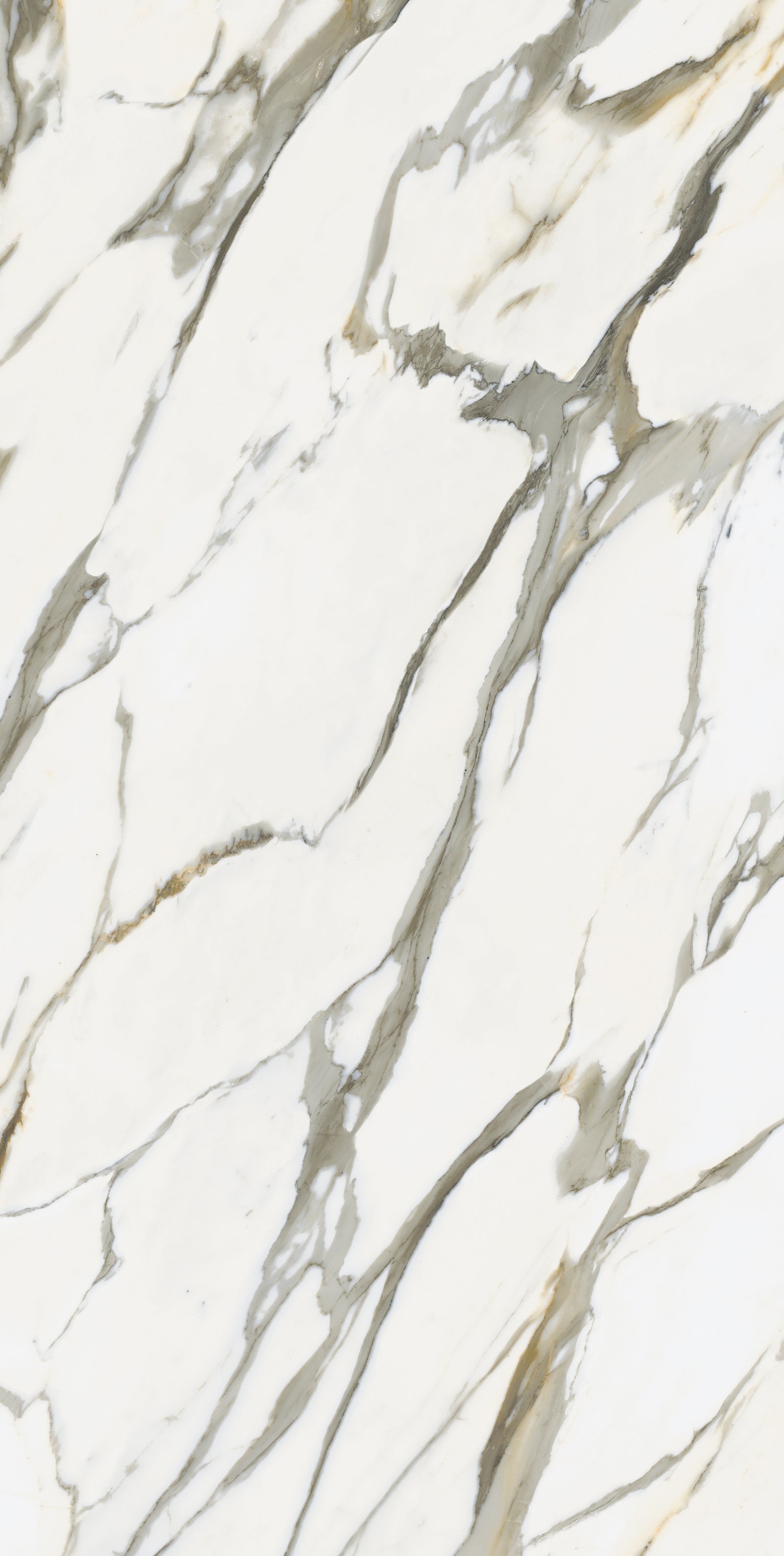 Calacatta Crema A.JPG