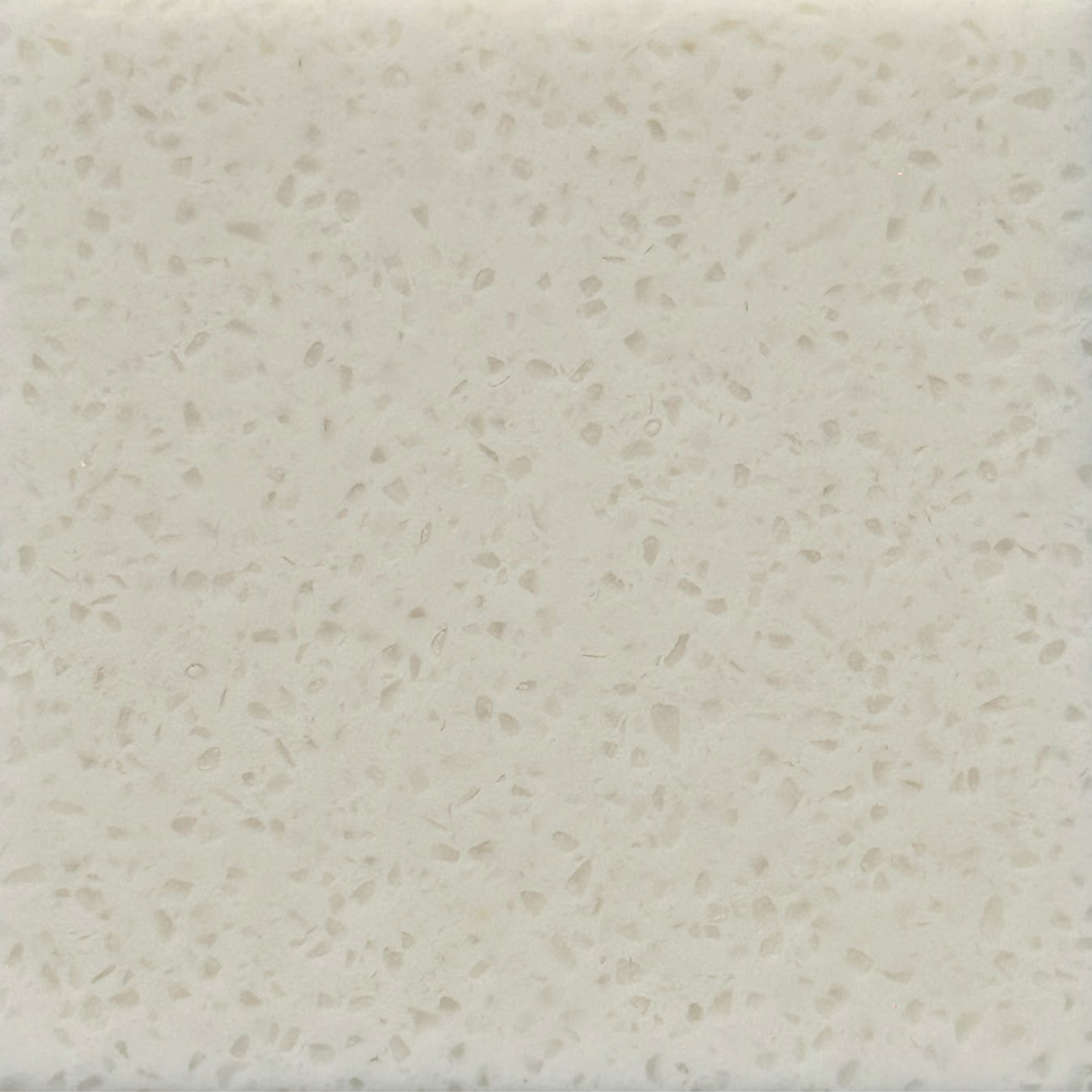 NS099