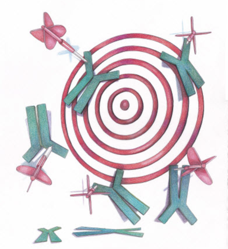 Antibody Validation in Flow cytometry