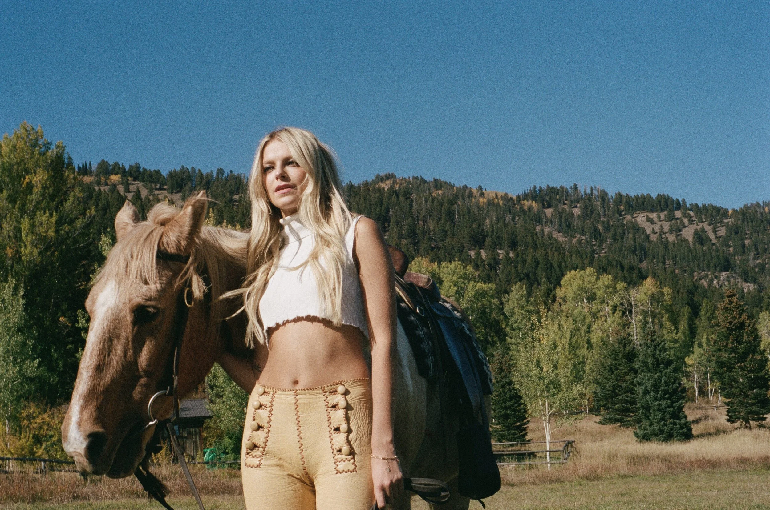 000031660017 (4).jpg