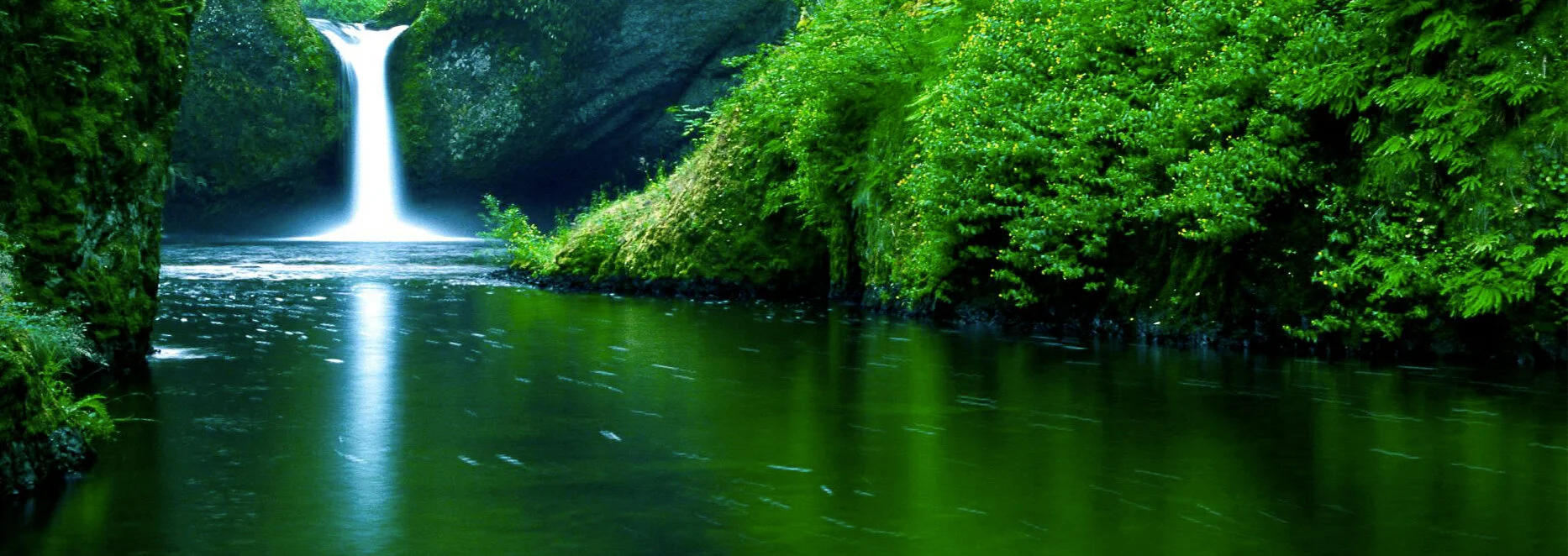 banner waterfall 3.jpg