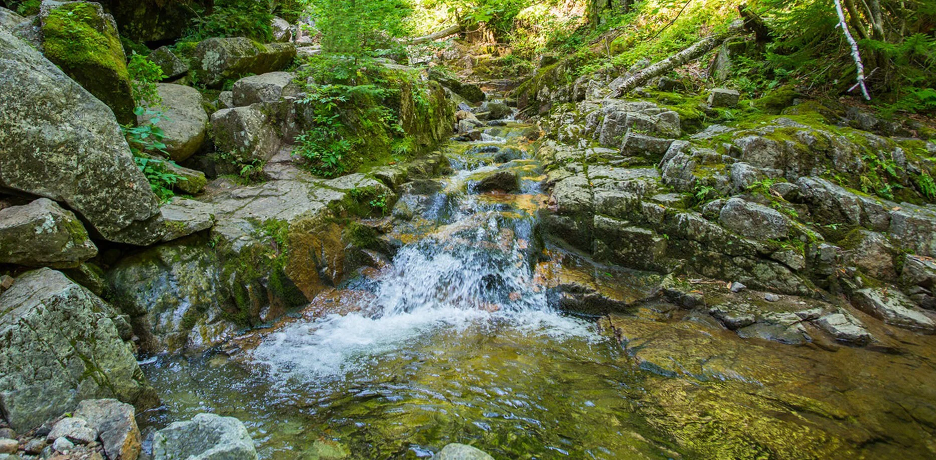 banner waterfall 720 05 sharp.jpg