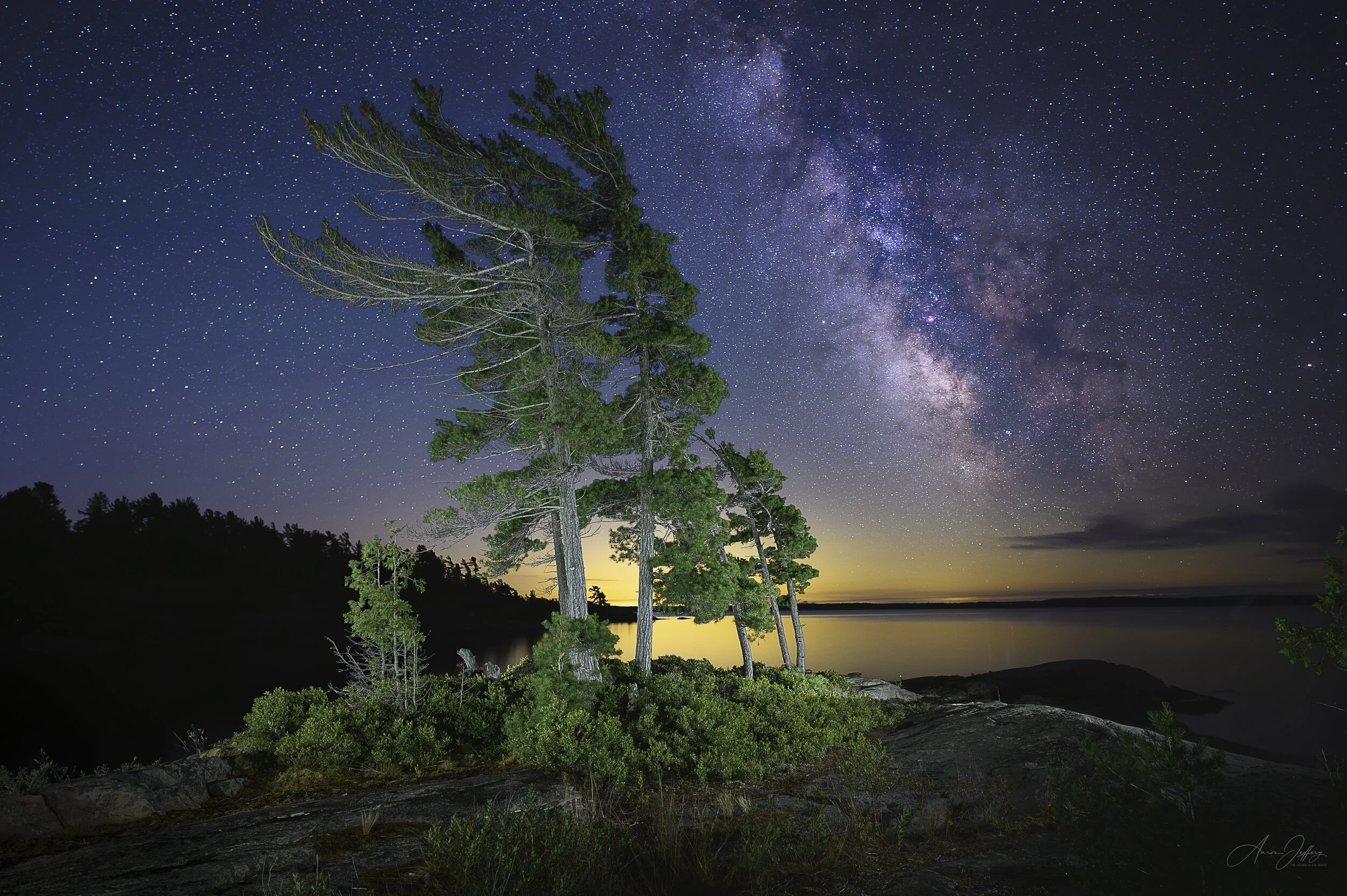 Wall Island Windswept Pines Re-Edit Final WM-.jpg