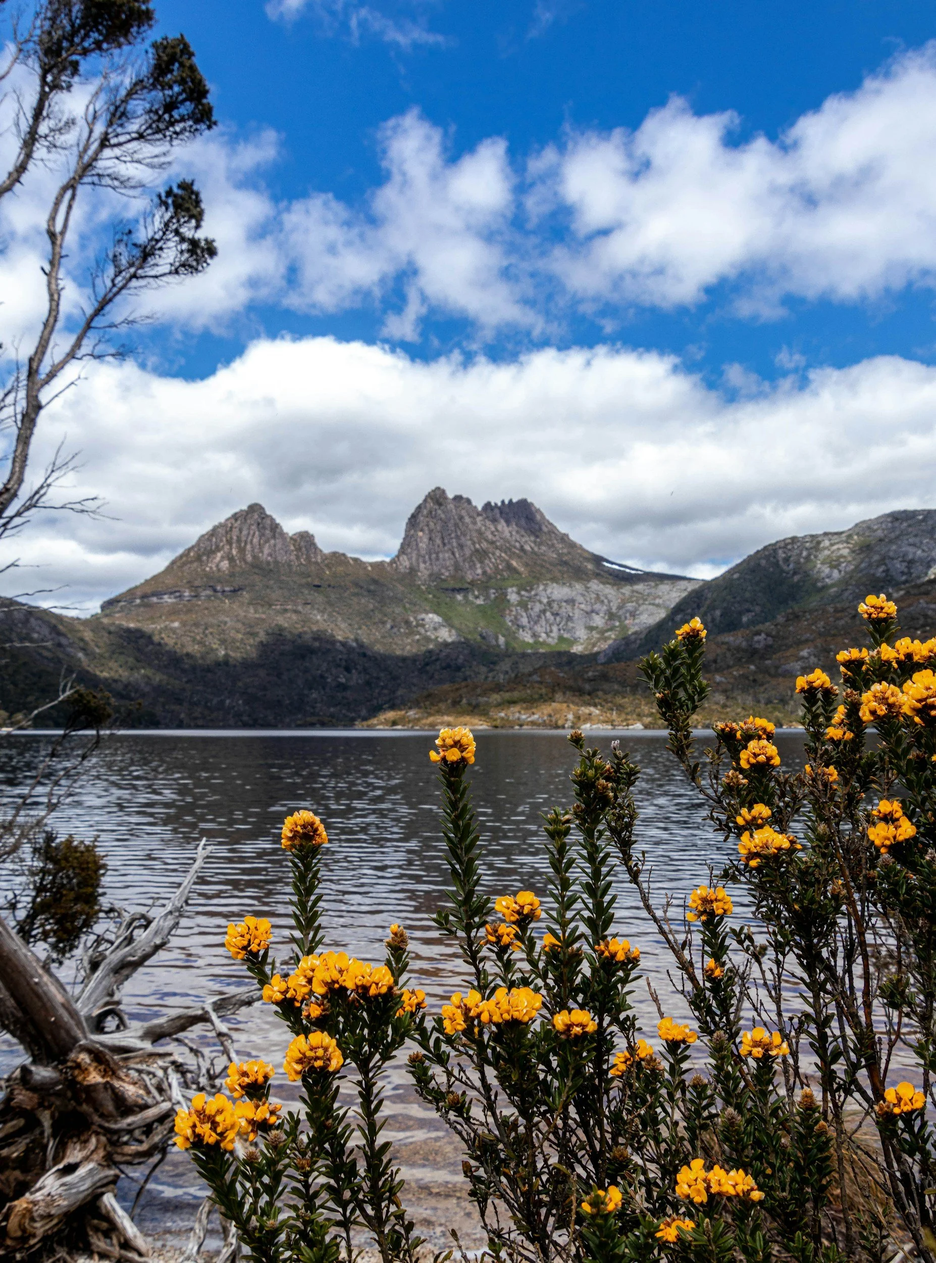 Things To Do November 2025 - North West Tasmania