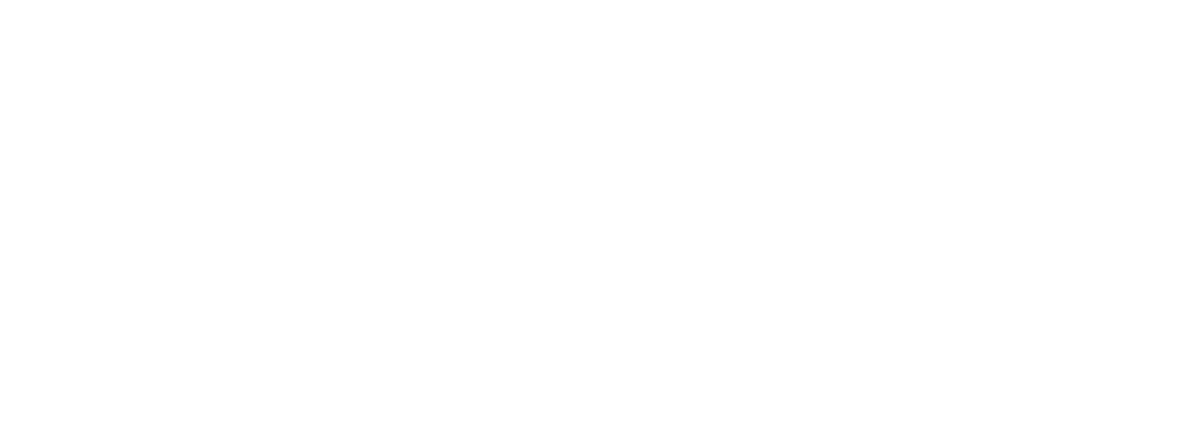 Z-TOPIA