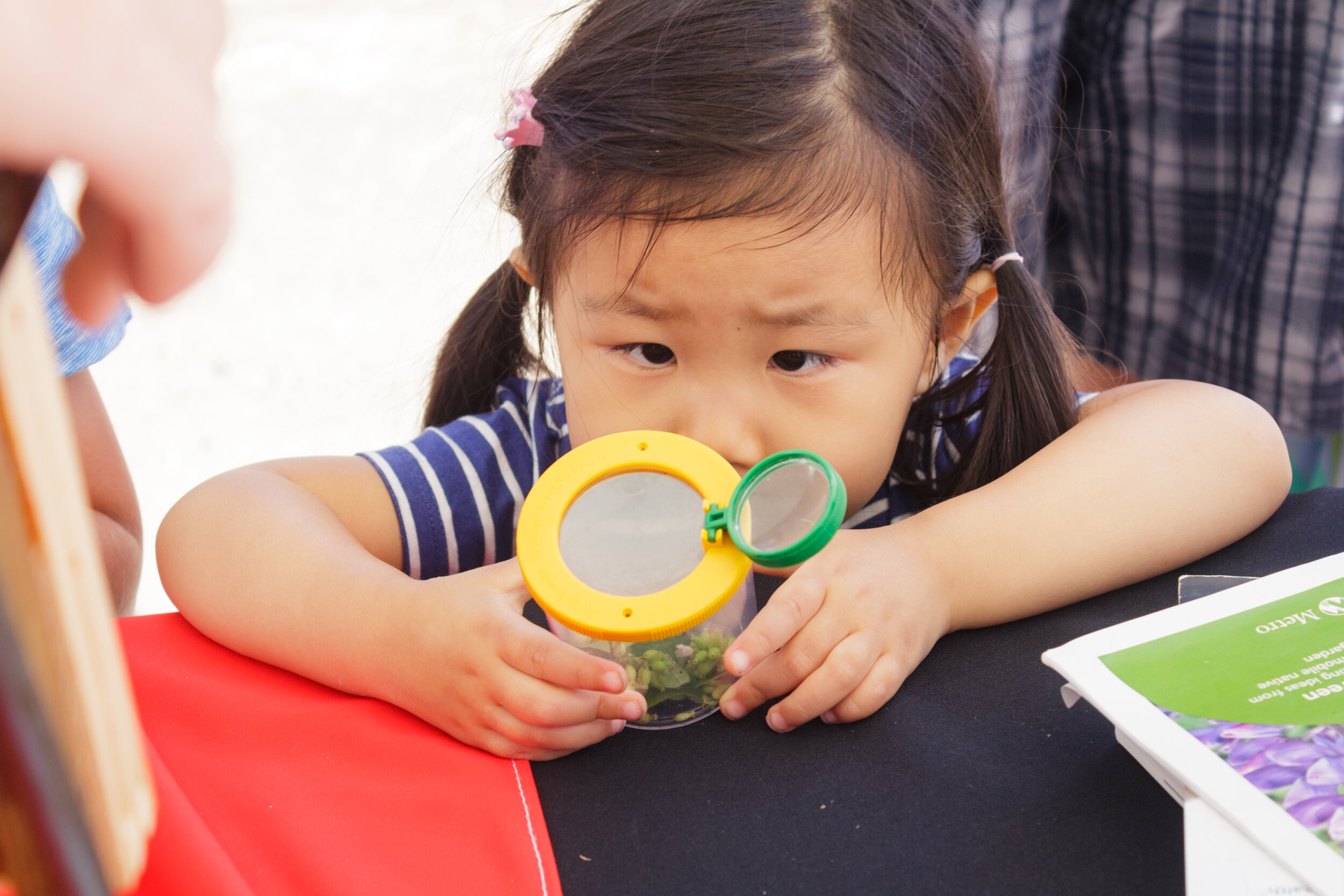 Slough School at Home Update