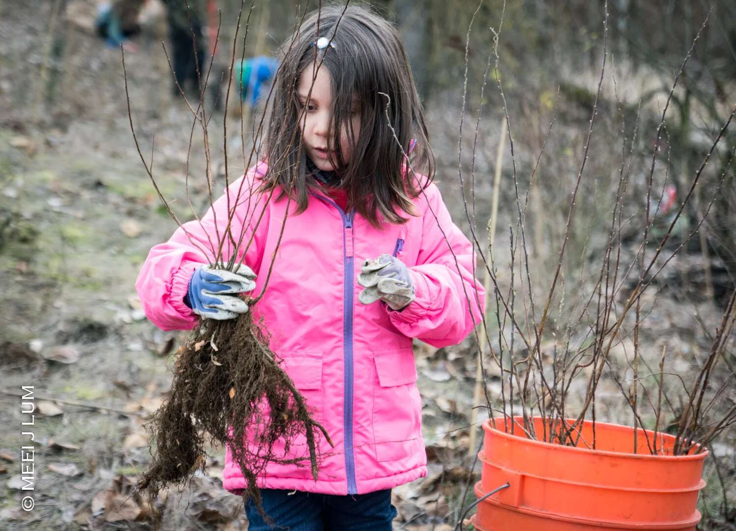 Stewardship Season is Here!