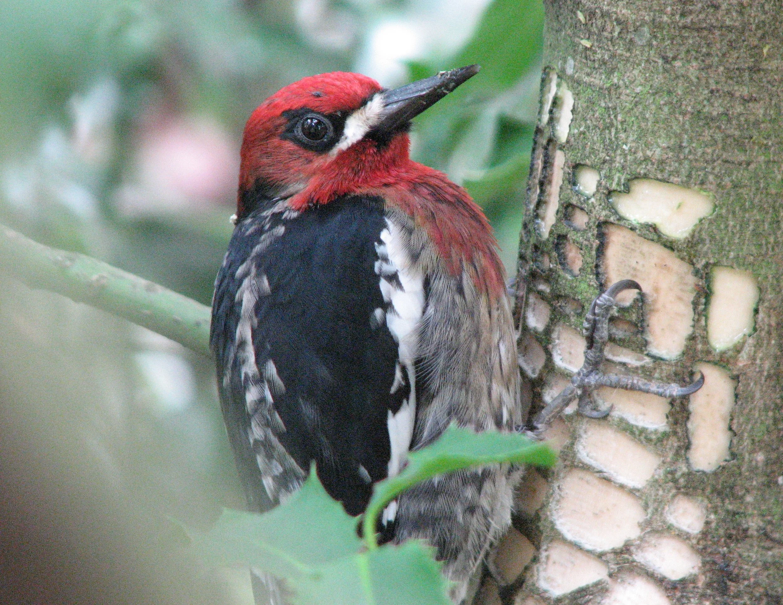 Columbia Slough Biking Big Day a big success!