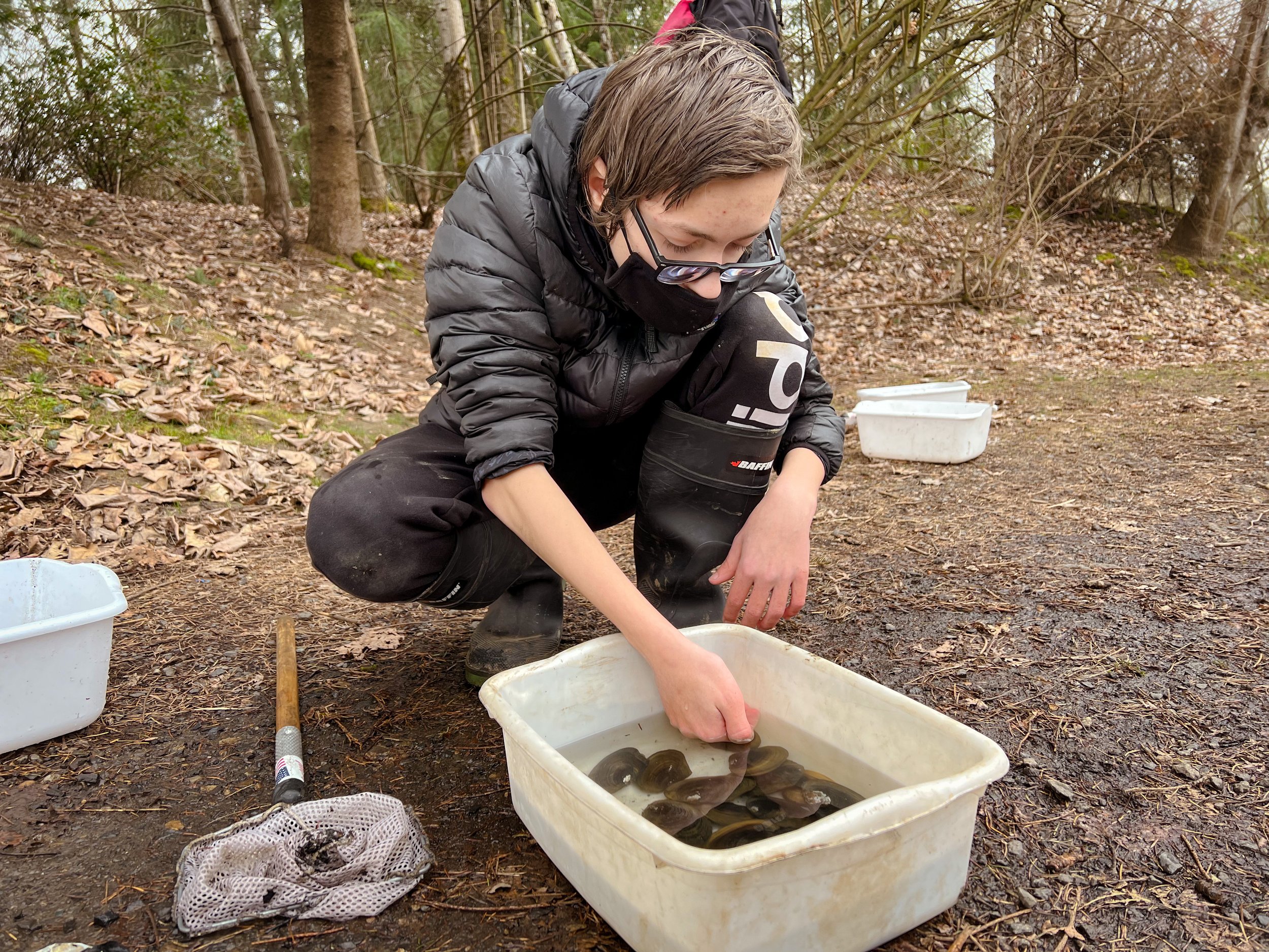 Sampling macroinvertebrates!