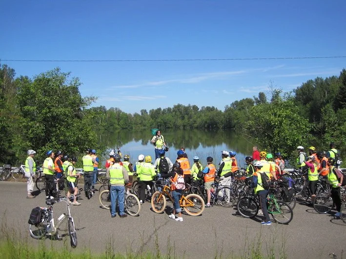 Cycle the Well Field