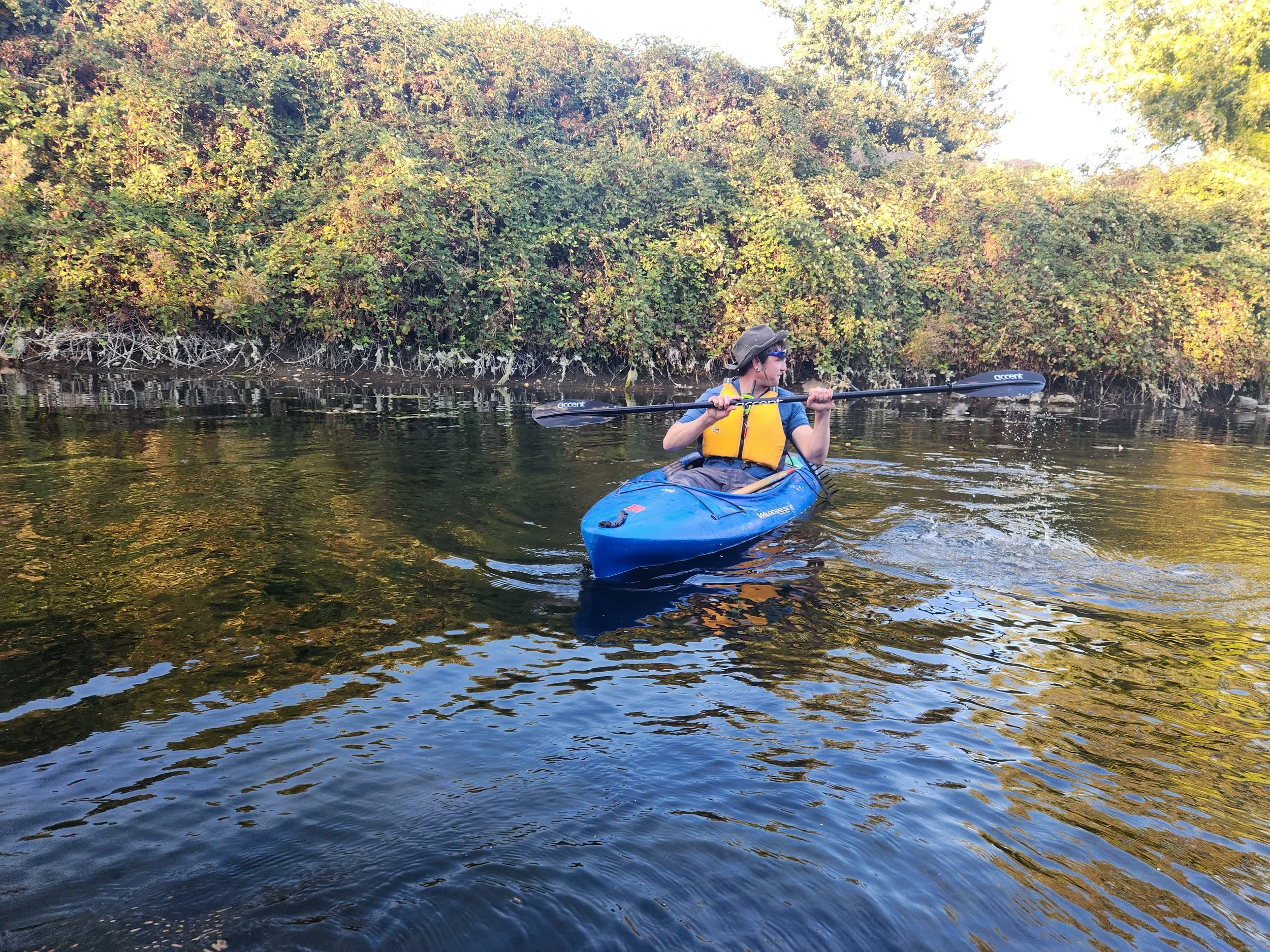 Slough Science Paddle: Aquatic Plants of the Slough // Remo de canoa con plantas acuáticas