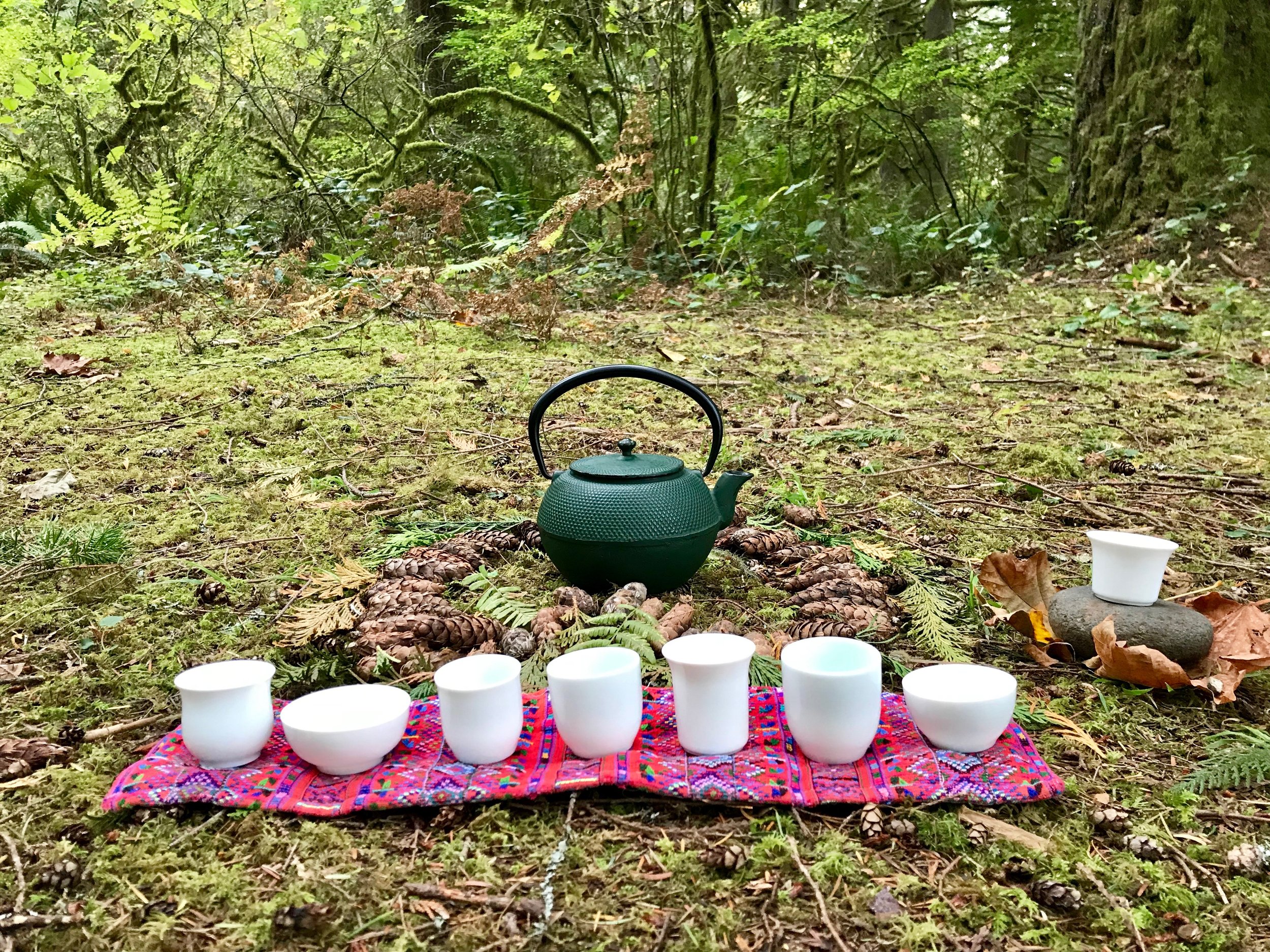 Solstice Gathering: Nature Connection and Nourishment for the BIPOC Community