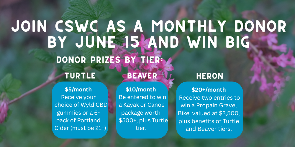 support the slough, win a gravel bike!.png