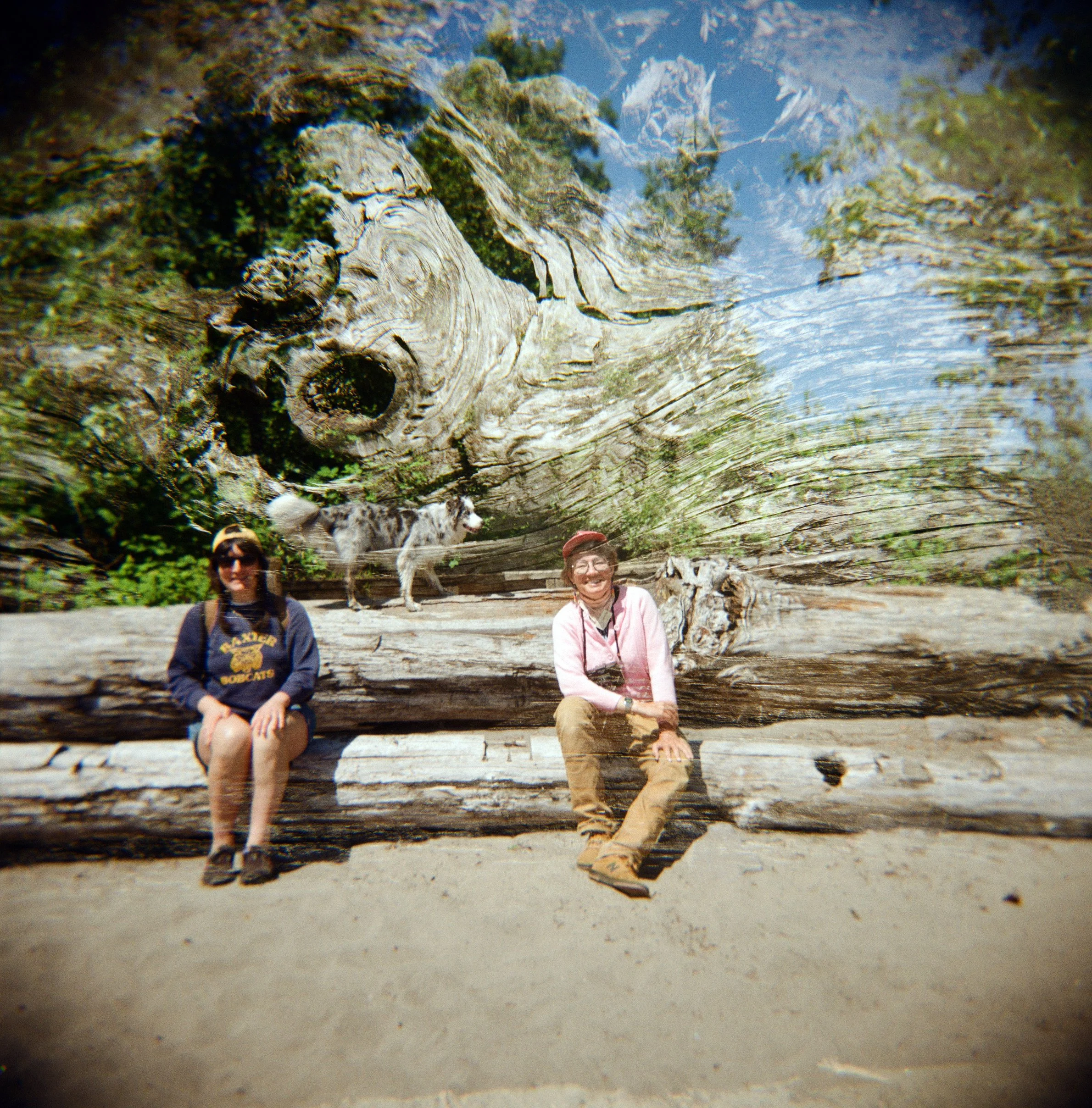 Outdoor Film Photography Workshop: How to Holga (2 Part Event)