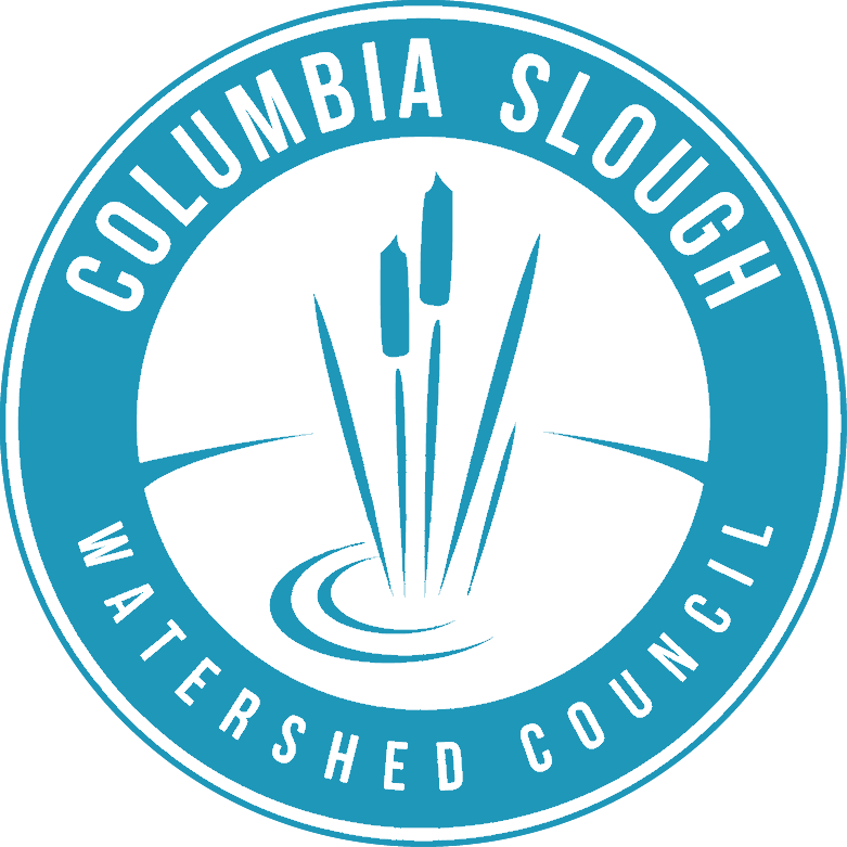 Slough Science: Climate Resilience in Your Yard &amp; Beyond