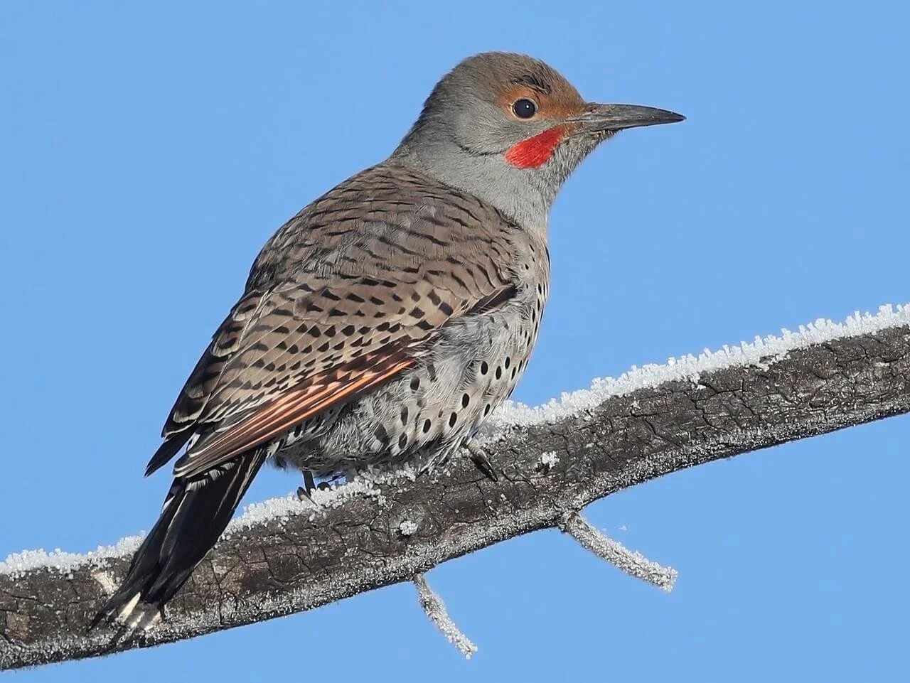 Bird Walk at Blue Lake