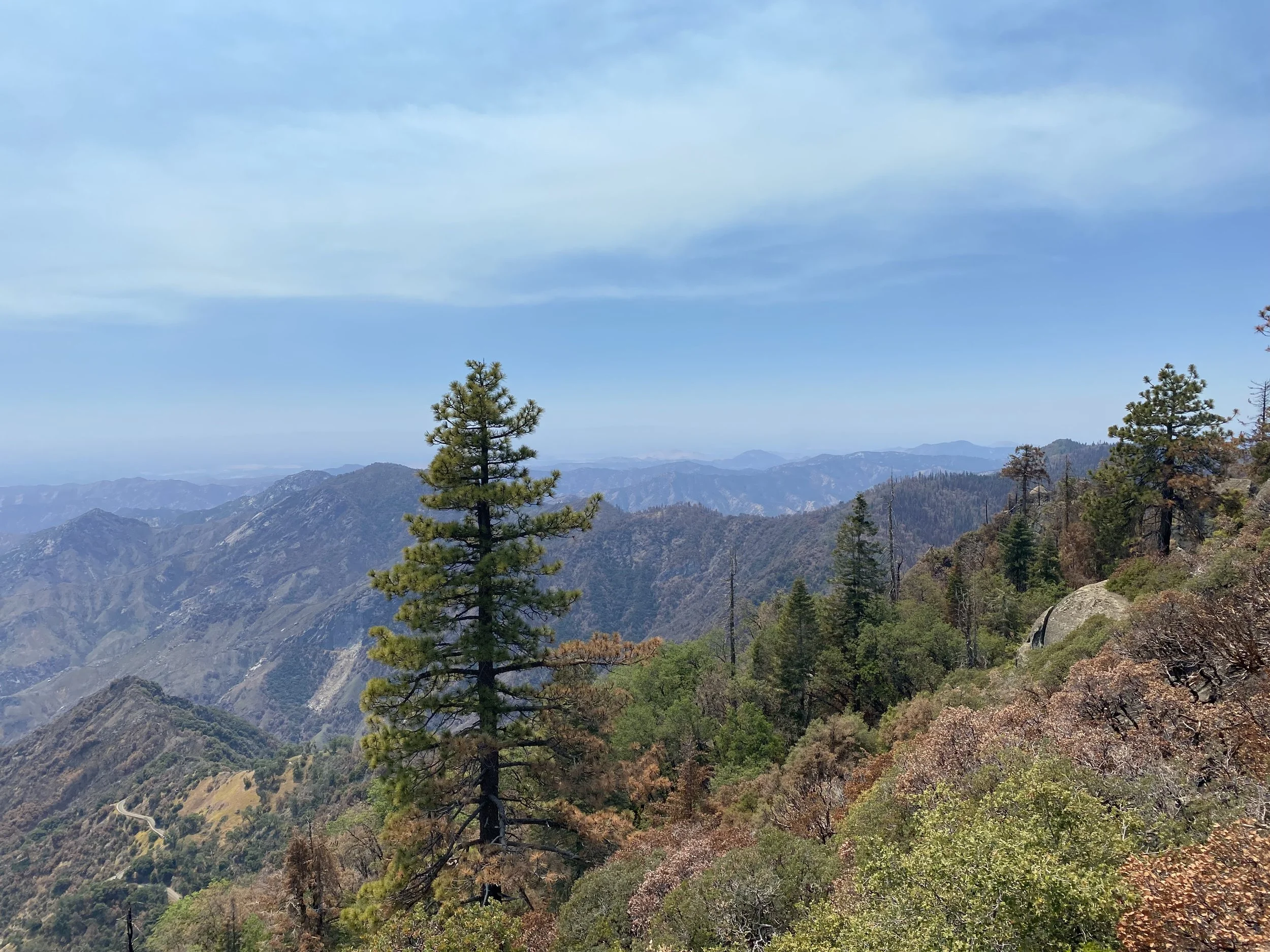 Sequoia National Park | 2022