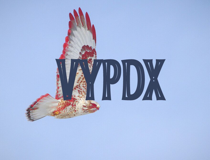 VYPDX.jpeg
