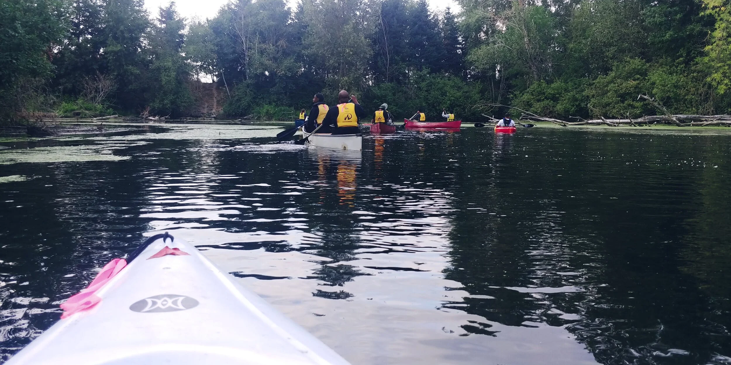 20210817_190209_HDR.jpg