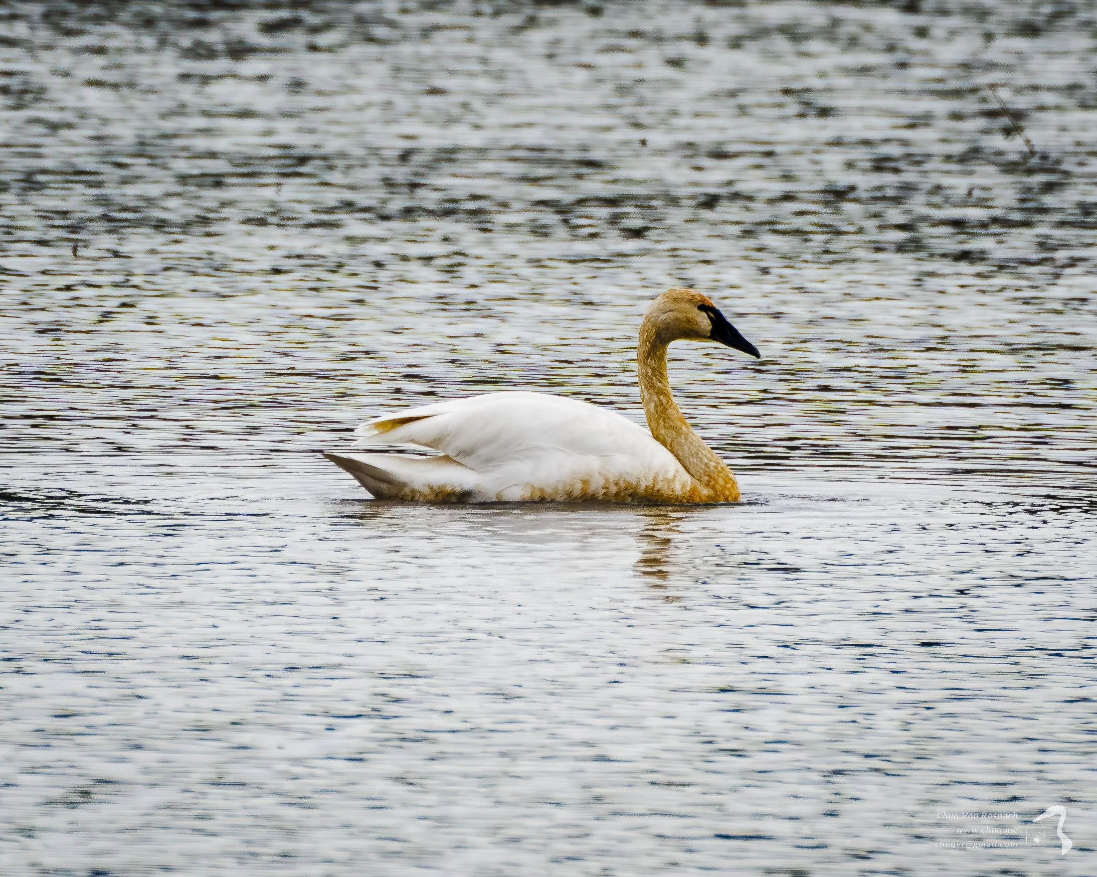 DSC02539.jpg