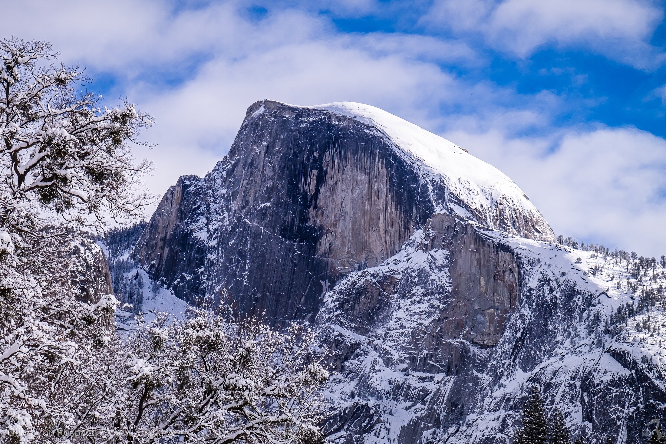 Yosemite National Park