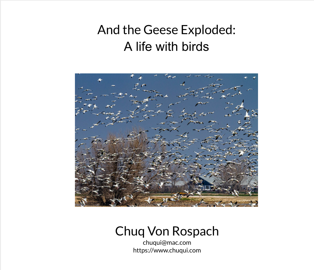 And the Geese Exploded