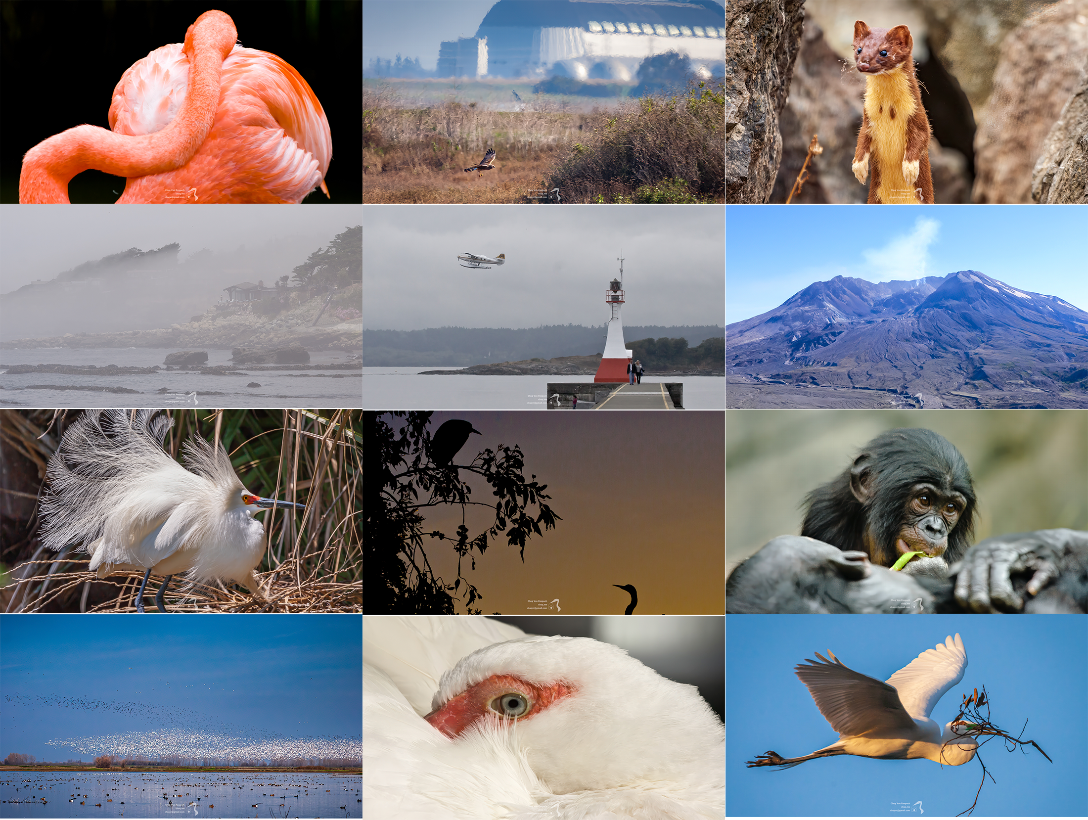 New Free Desktop Wallpapers