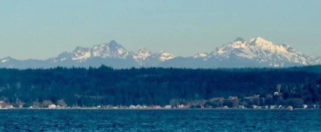 6FPS V8#2: Not a Diet