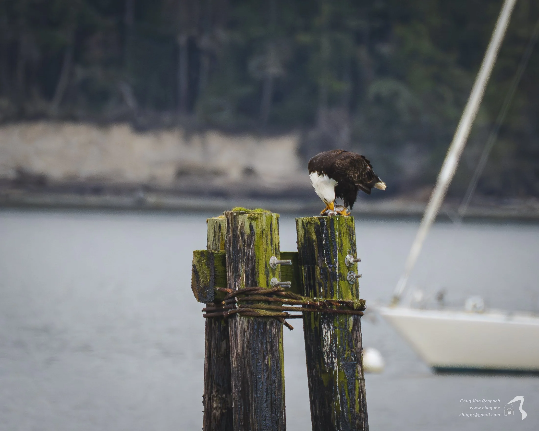 Fort Flagler, Washington