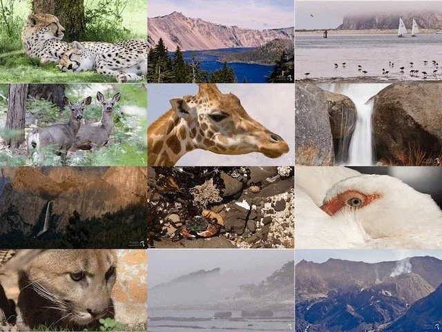 6FPS V8#3: The Olympics