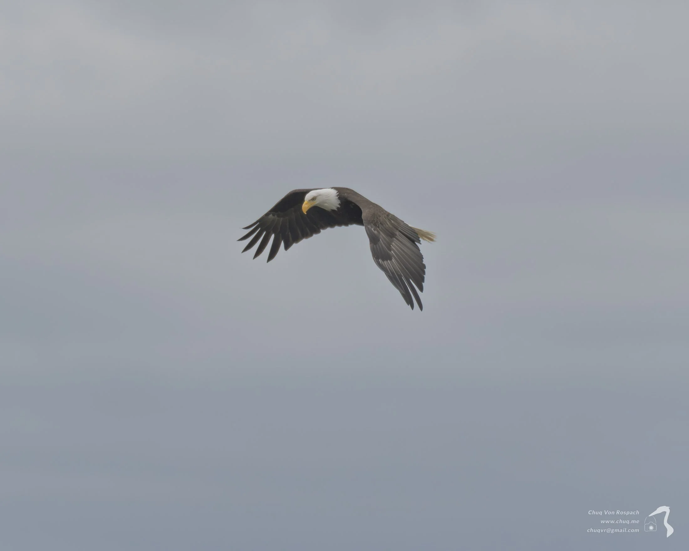 DSC04884.jpg